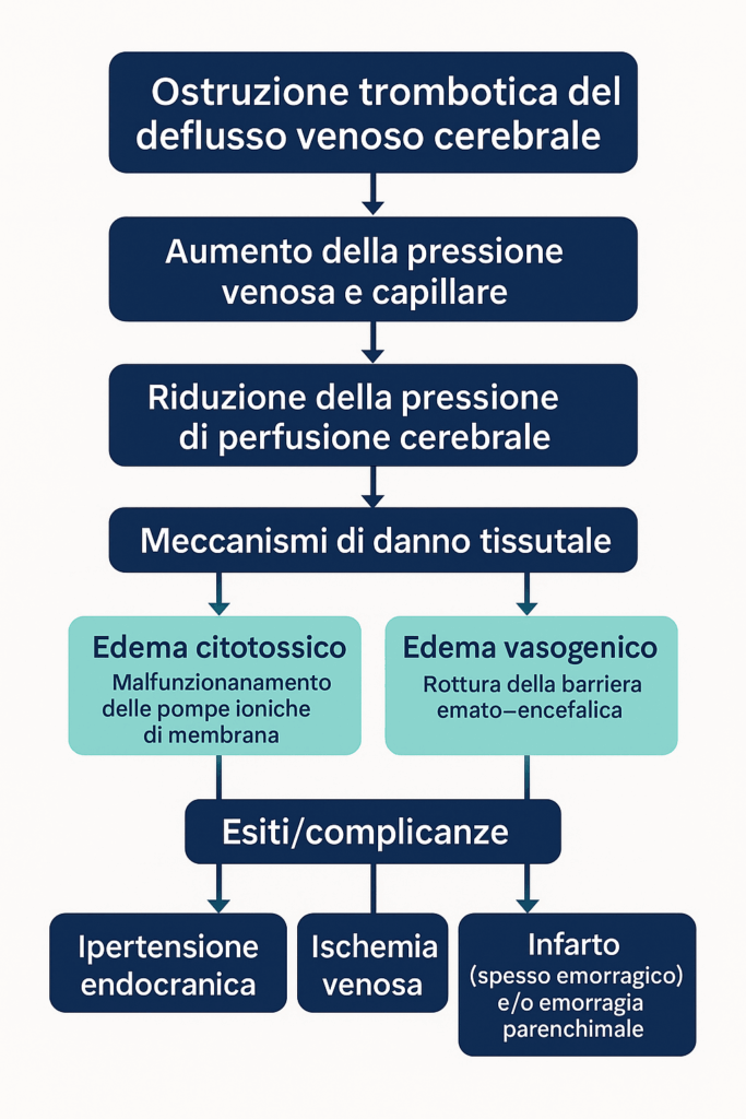 Schema fisiopatologia trombosi venosa dei seni intracranici